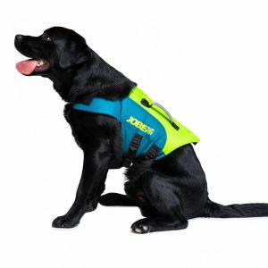 Gilet de sauvetage pour Chien Jobe