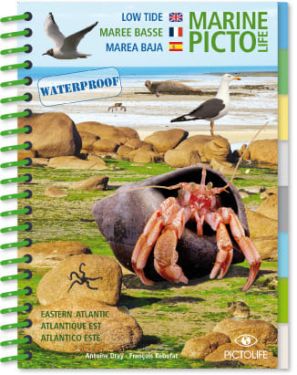 Guides Marines Pictolife - Marée basse