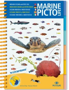 Guides Marines Pictolife - Océan Indien et Mer Rouge