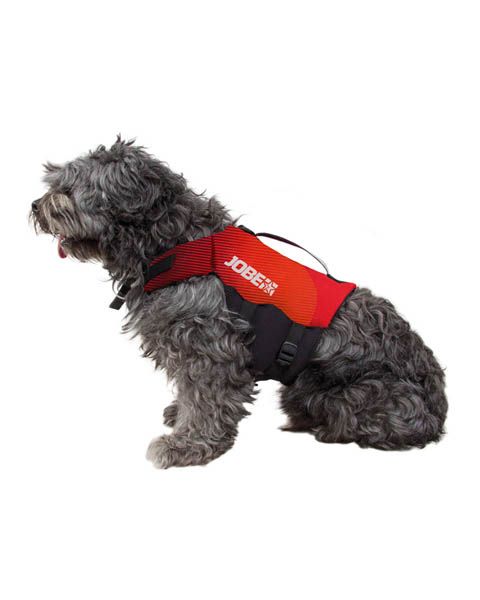 Gilet De Sauvetage Pour Chien Jobe Gilet Flottaison Chien Jobe