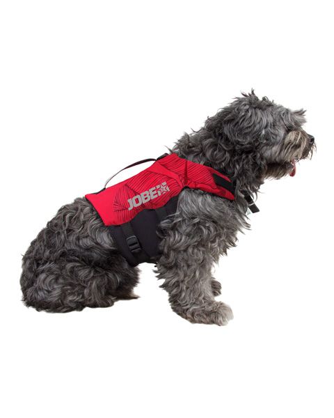 Gilet De Sauvetage Pour Chien Jobe Gilet Flottaison Chien Jobe