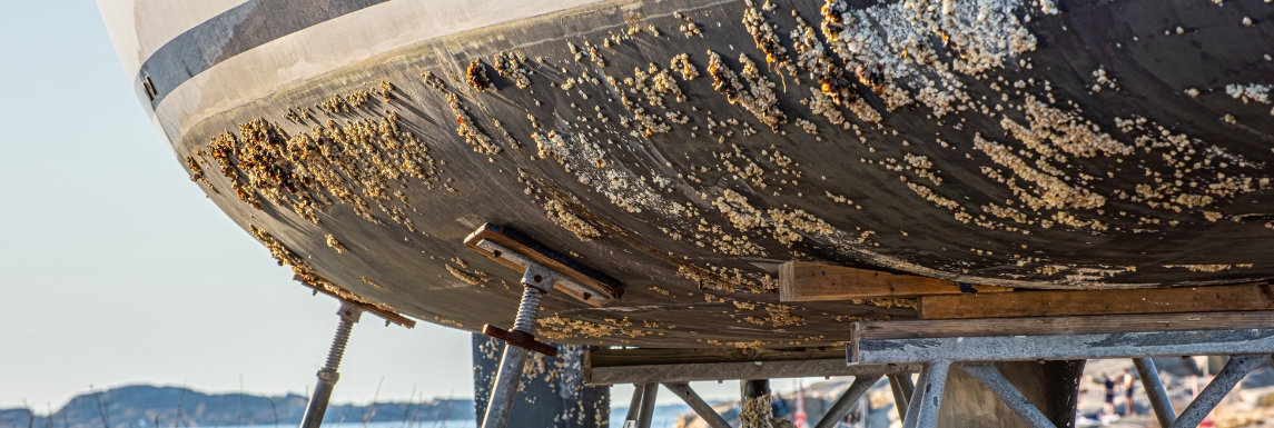 Coque de bateau avant antifouling