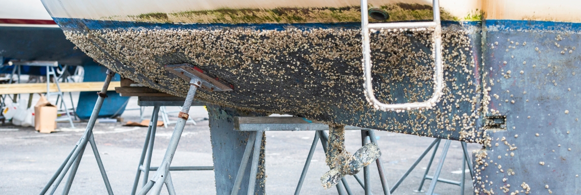 nettoyage bateau avec antifouling ecologique